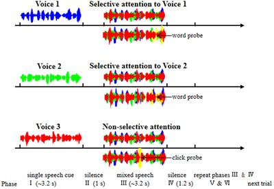 Selective Attention Enhances Beta-Band Cortical Oscillation to Speech under “Cocktail-Party” Listening Conditions